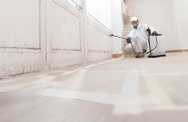 24/7 Emergency Attic Mold Removal experts in Melissa, TX