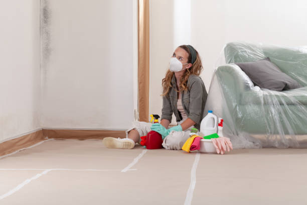 Reliable Mold Remediation contractor in Melissa, TX by Cheap Mold Removal