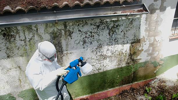 Trusted Mold Testing service in Melissa, TX - Cheap Mold Removal